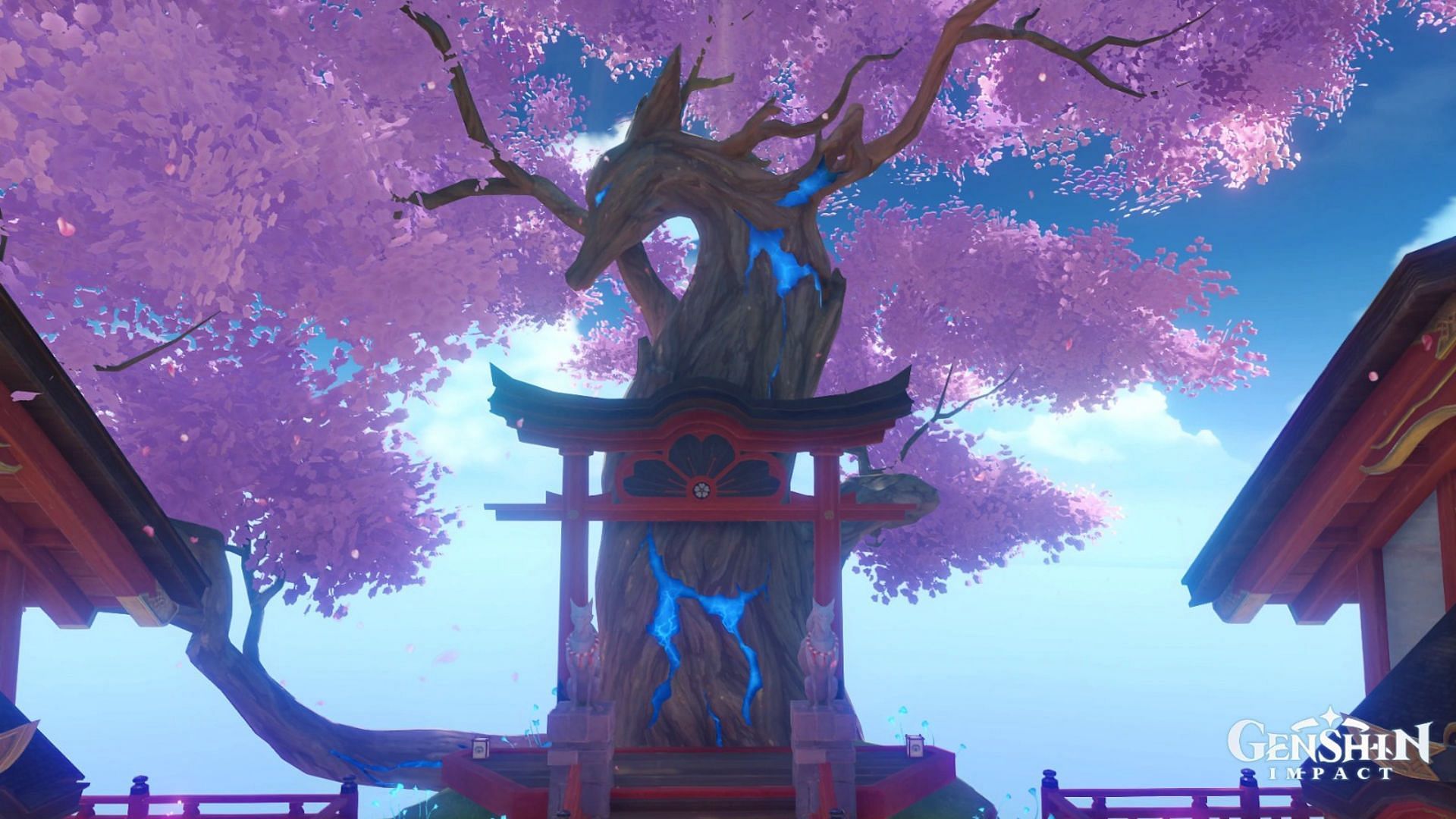 The Sacred Sakura tree in Inazuma (Image via HoYoverse)